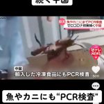 レス2番の画像サムネイル