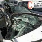 レス2番の画像サムネイル