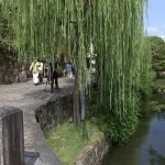 レス2番の画像サムネイル