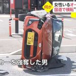 レス55番の画像サムネイル
