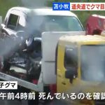レス1番の画像サムネイル