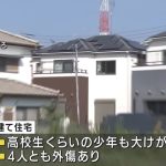 レス1番の画像サムネイル