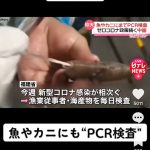 レス2番の画像サムネイル