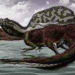 レス20番の画像サムネイル
