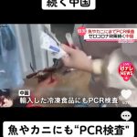 レス2番の画像サムネイル