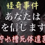 レス2番の画像サムネイル