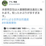 レス33番の画像サムネイル