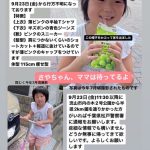 レス3番の画像サムネイル
