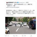 レス1番の画像サムネイル