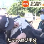 レス5番の画像サムネイル
