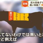 レス17番の画像サムネイル