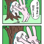 レス8番のサムネイル画像
