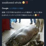 レス1番のサムネイル画像