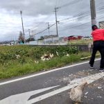 レス1番のサムネイル画像
