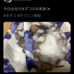 レス37番のサムネイル画像