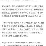レス11番のサムネイル画像
