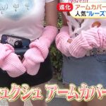 レス16番のサムネイル画像