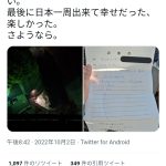 レス1番の画像サムネイル