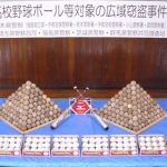 レス27番のサムネイル画像