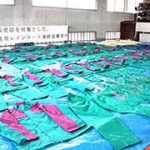 レス13番のサムネイル画像