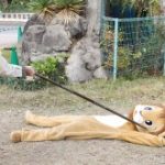 レス1番のサムネイル画像