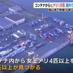レス1番のサムネイル画像