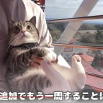 レス1番のサムネイル画像