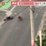 レス1番のサムネイル画像