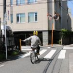 レス5番のサムネイル画像
