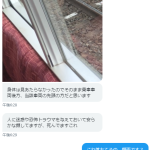 レス1番のサムネイル画像