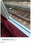 レス1番のサムネイル画像