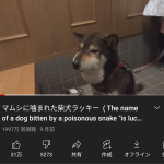 レス1番のサムネイル画像