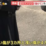 レス1番のサムネイル画像
