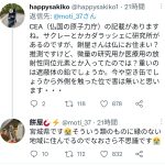 レス33番のサムネイル画像