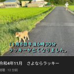 レス1番のサムネイル画像