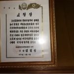 レス9番のサムネイル画像
