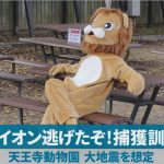 レス24番のサムネイル画像