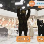 レス13番のサムネイル画像