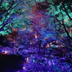レス27番のサムネイル画像