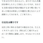 レス21番のサムネイル画像