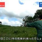レス13番のサムネイル画像