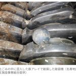 レス1番のサムネイル画像