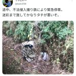レス1番のサムネイル画像