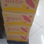 レス9番のサムネイル画像