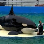 レス6番のサムネイル画像