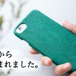 レス3番のサムネイル画像