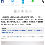 レス41番のサムネイル画像