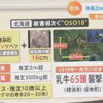 レス13番のサムネイル画像