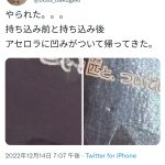 レス1番のサムネイル画像