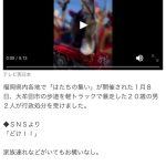 レス1番のサムネイル画像